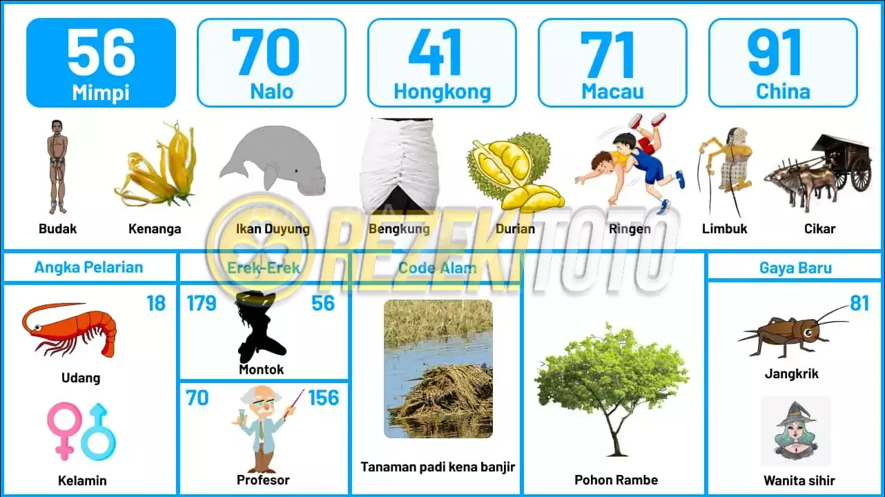 buku mimpi erek erek togel 56